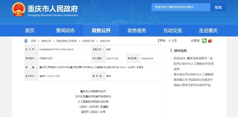 重慶信息技術(shù)咨詢(xún)服務(wù) 政府官網(wǎng)指引與企業(yè)創(chuàng)新發(fā)展的雙贏之道